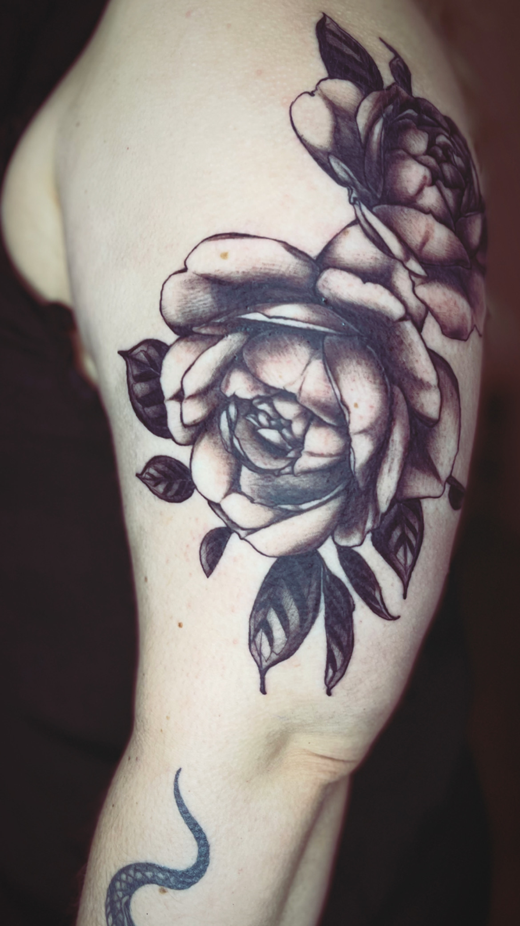Tattoos After 50 :) - New Rose Tattoo in Portland Oregon